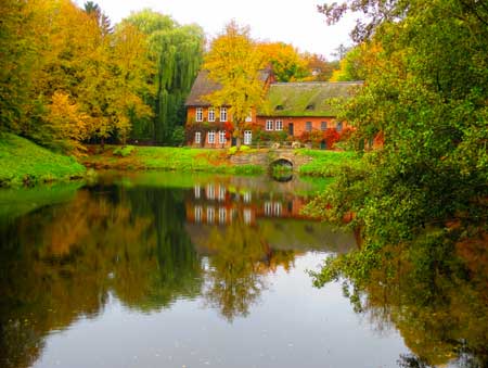 Garden pond surrounded by Autumnal trees